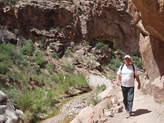Trainier "Henne" im Grand Canyon